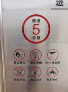 ���P䓸��g��